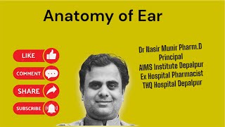 Anatomy of Ear Hearing [upl. by Morven113]