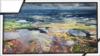 The Pantanal  The worlds largest swamp [upl. by Sane549]