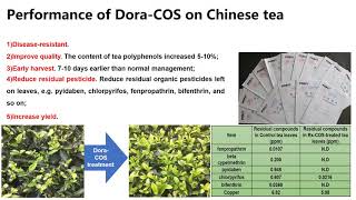 chitosan oligosaccharide new biocontrol solution in agriculture [upl. by Ulphia]