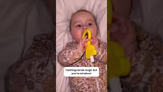 Best product for teething struggles [upl. by Nagirrek]