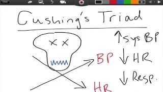 Cushings Triad  ICP  EMTprepcom [upl. by Idnam]