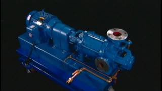 NASH Liquid Ring Vacuum Pump  How It Works [upl. by Ennairrek638]