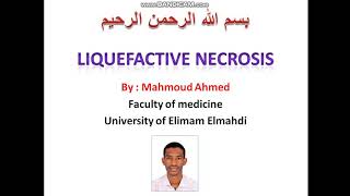 ٧ شرح ال liquefactive necrosis محموداحمدSDLC [upl. by Noillimaxam651]