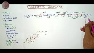 Cholesterol Synthesis  Lipid Metabolism  Doctor Z [upl. by Chud]