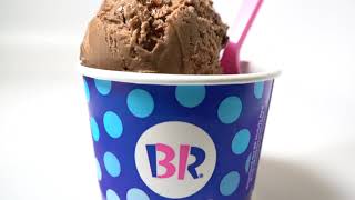 BaskinRobbins NEW NonDairy Ice Cream Flavors [upl. by Pals]