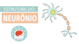 Sistema Nervoso Estrutura do Neurônio  Anatomia e etc [upl. by Armbrecht243]