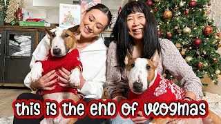 this is the end of vlogmas  vlogmas day 21 [upl. by Adnalram830]