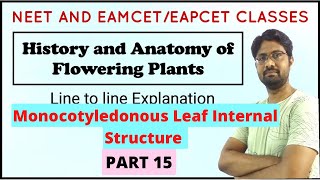 Isobilateral Leaf  Monocot Leaf Internal Structure  Anatomy of Flowering Plants  PART 15 [upl. by Ostler932]