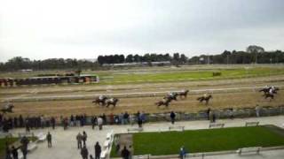 CARRERA EN EL HIPODROMO ARGENTINO DE PALERMO  BUENOS AIRES  ARGENTINA [upl. by Mal]