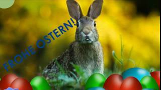 Der Osterhase erklärt wann Ostern ist 🐰 und wünscht quotFROHE OSTERNquot  Ostergrüße [upl. by Roy]