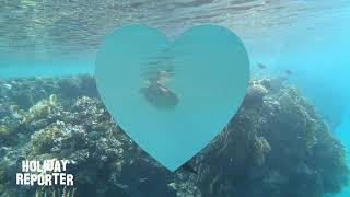 Snorkeling House Reef Brayka Bay Northside  Marsa Alam  Egypt Gopro Black 7 Underwater [upl. by Yurik467]