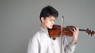 Aspen Music Festival Fellowship Audition Violin [upl. by Godwin437]