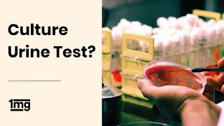 What is Urine Culture Test  1mg [upl. by Regnig]