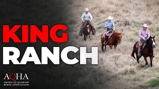 King Ranch Wins Top AQHA Honor [upl. by Mccready]