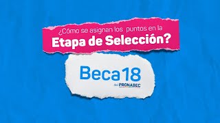 Beca 182024 ¿cómo se asignan los puntos en la Etapa de Selección [upl. by Snave54]