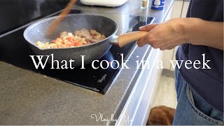 What I eat in a week3 in FranceDinner ideasEasy home mealCooking for the family Life in France [upl. by Mor311]