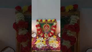 AYYA NINNE NAMMINA SWAMIYE SHARANAM AYYAPPA🙏 ayyappasongs ayyappaswamysongs ayyappa ayyappan [upl. by Eirahs]