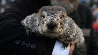 Cast of ‘Groundhog Day reunites at Navy Pier for first time since movies 1993 debut [upl. by Danna]