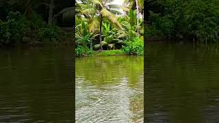 Kerala Kumarakom Kareemadom [upl. by Idola]