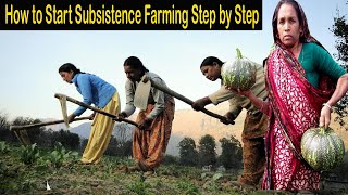 Subsistence Farming Step by Step  How to Start Subsistence Agriculture Very Easily  Mixed Farming [upl. by Pacian536]