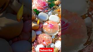 কত সুন্দর লাগছেগুড নেচারimazing factytstudioes ytshorts ytshort viralvideo viralshort ytvir [upl. by Aened]