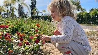 PARADISE FOUND IN BENSLIMANE MOROCCO 🇲🇦 الجنة الموجودة في بنسليمان المغرب [upl. by Ayle]