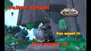 Patient Bufonid Mount The Burrowed Bufonid Zereth Mortis WOW [upl. by Colly]