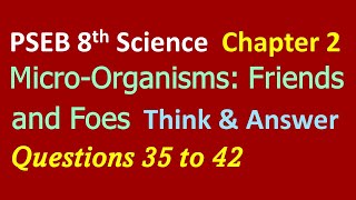 8th Science Chapter 2 Microorganisms Friends and Foes Think and Answer Questions 35 to 42 [upl. by Trainer]