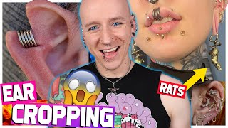 Wild Piercings That Will Shock You  Piercings Gone Right 10  Roly Reacts [upl. by Itraa]