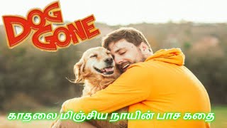 Dog lovers must watch MovieDog gone movie explained in tamil [upl. by Gemmell]