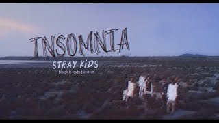 VIETSUB Stray Kids스트레이 키즈  INSOMNIA [upl. by Phionna]