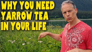 8 Reasons you need YARROW TEA in your life  Benefits of Achillea Millefolium [upl. by Peder171]