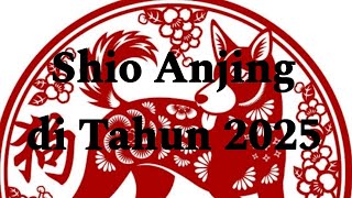 Shio Anjing di Tahun 2025 [upl. by Anaitsirc]