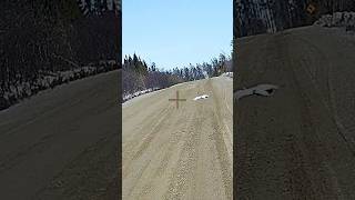 Testing out the new shotkam ptarmigan hunting [upl. by Karlik]