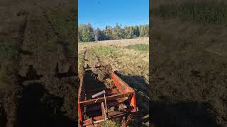 Perhaps the wobbliest clip of the year Spreading fertilizer on bumpy field IH844 and Tive 20T [upl. by Eseilana]