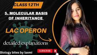 Lac Operon  molecular basis of inheritance class 12  in hindi biology neet youtube lacoperon [upl. by Nada]