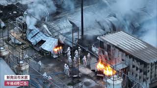 新発田市の養豚場で火事 少なくとも豚舎3棟で飼育されていた約1600頭が死ぬ UXニュース12月2日OA [upl. by Aynom]