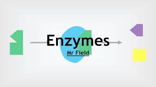 GCSE Biology 05  Enzymes [upl. by Phaedra499]