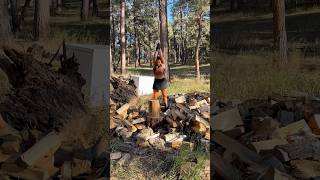 One Chop ONLY woodchopping woodgirl axe climbing woodworkinggirl onechop choppingqueen [upl. by Odilo]