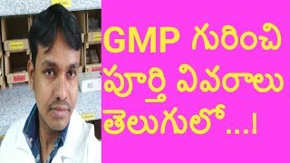 How to know about Good Manufacturing Practices in Telugu  GMP Guidelines In Pharma  Pharma Guide [upl. by Garold]