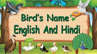 Birds names in english and hindi with image  पक्षियों के नाम  KIDZ CORNER [upl. by Marela664]