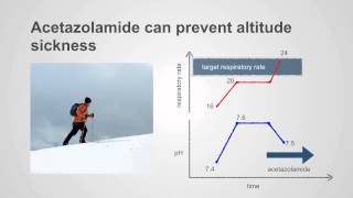 Acetazolamide amp PotassiumSparing Diuretics Uses amp Insights [upl. by Panter]