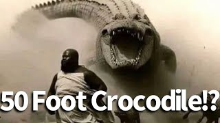 50 Foot Crocodile Seen in the Congo [upl. by Myrtia]