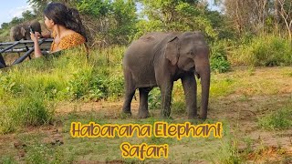 Habarana Elephant Safari  Stories From Srilanka  Srilankan Diaries [upl. by Basir]