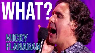 Understanding the Cleaner  Micky Flanagan  An Another Fing Live [upl. by Lledniw]