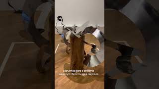 Lygia Clark na Pinacoteca de São Paulo [upl. by Uos]