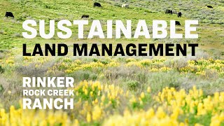 Monitoring Rangelands with Drones for Sustainable Land Management [upl. by Meurer]