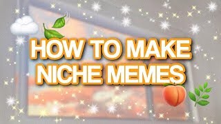 How to make NICHE MEMES  Editing Tutorial [upl. by Kalinda]