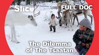 The Reindeer People of Northern Mongolia  SLICE  FULL DOCUMENTARY [upl. by Glenine762]