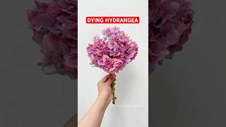 Dying bunga hydrangea😍 bouquet flowers aesthetic diy hydrangea shortvideo fyp [upl. by Luahs]